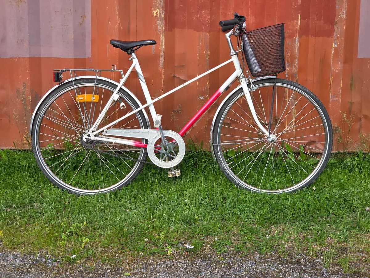 Monark Mixte