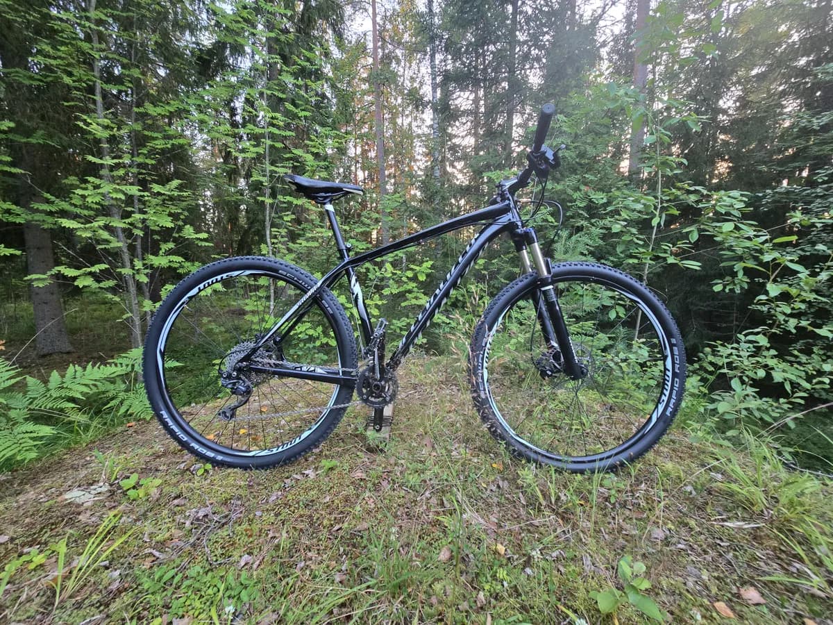 Specialized Crave L