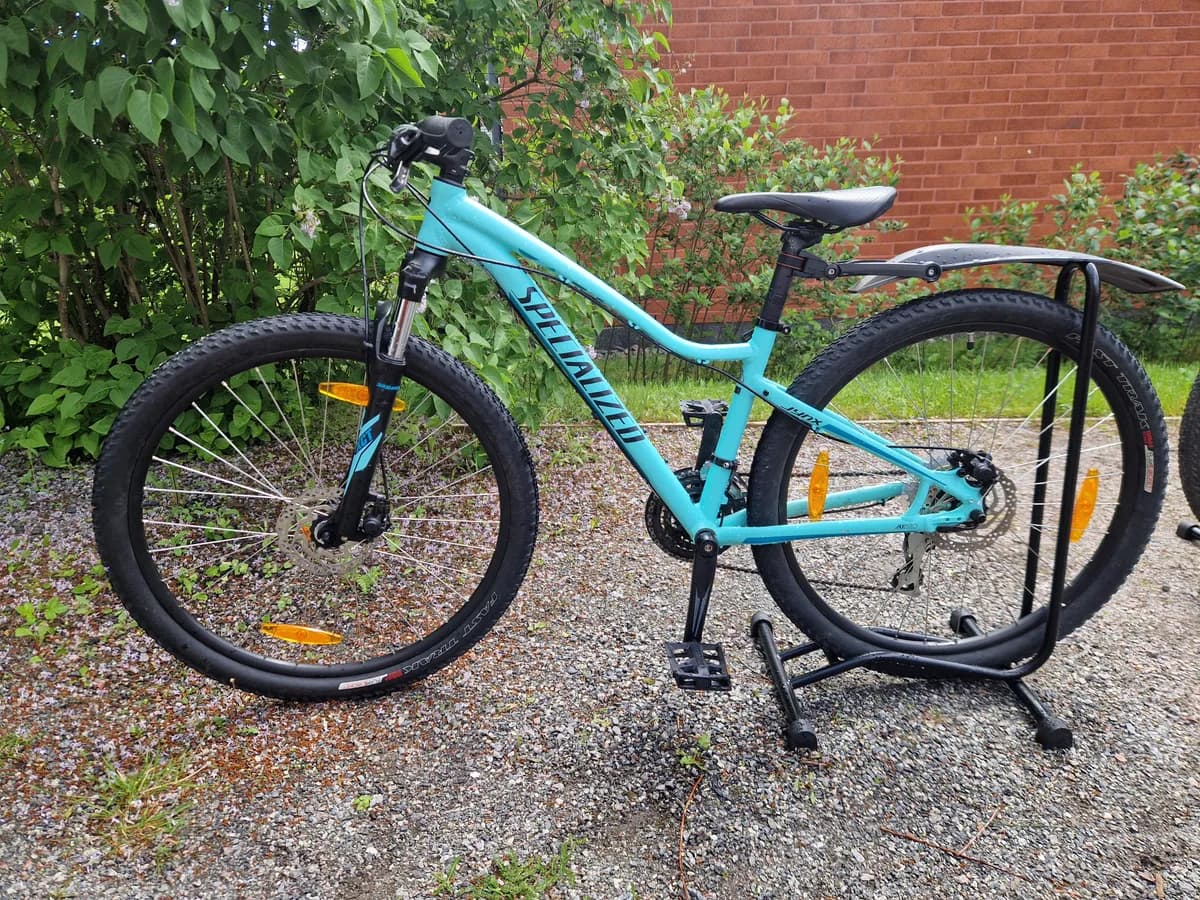 Specialized Jynx