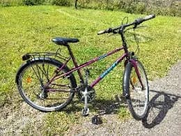 Nishiki Carrera 26"