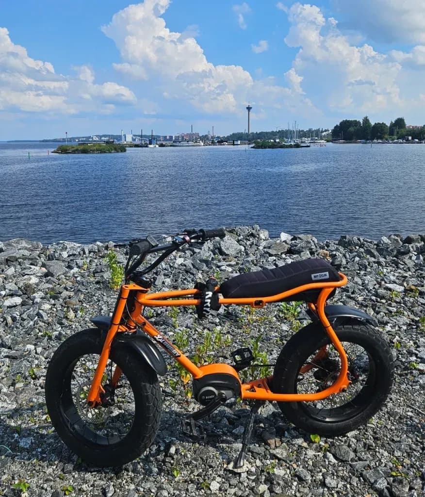 Ruff Cycles Active Line (2023)
