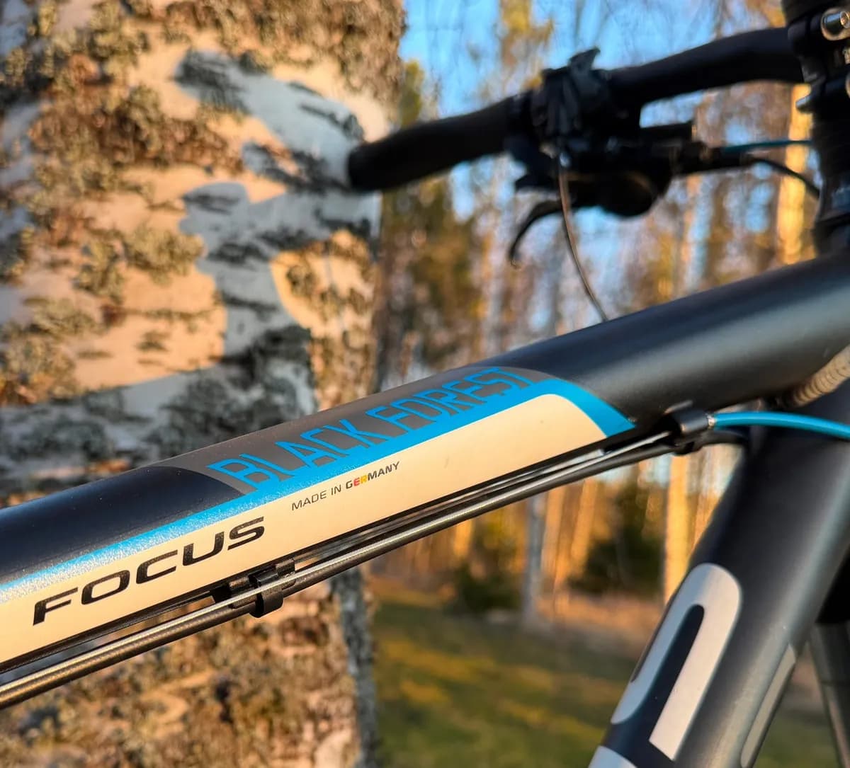 Focus Bikes Black Forest