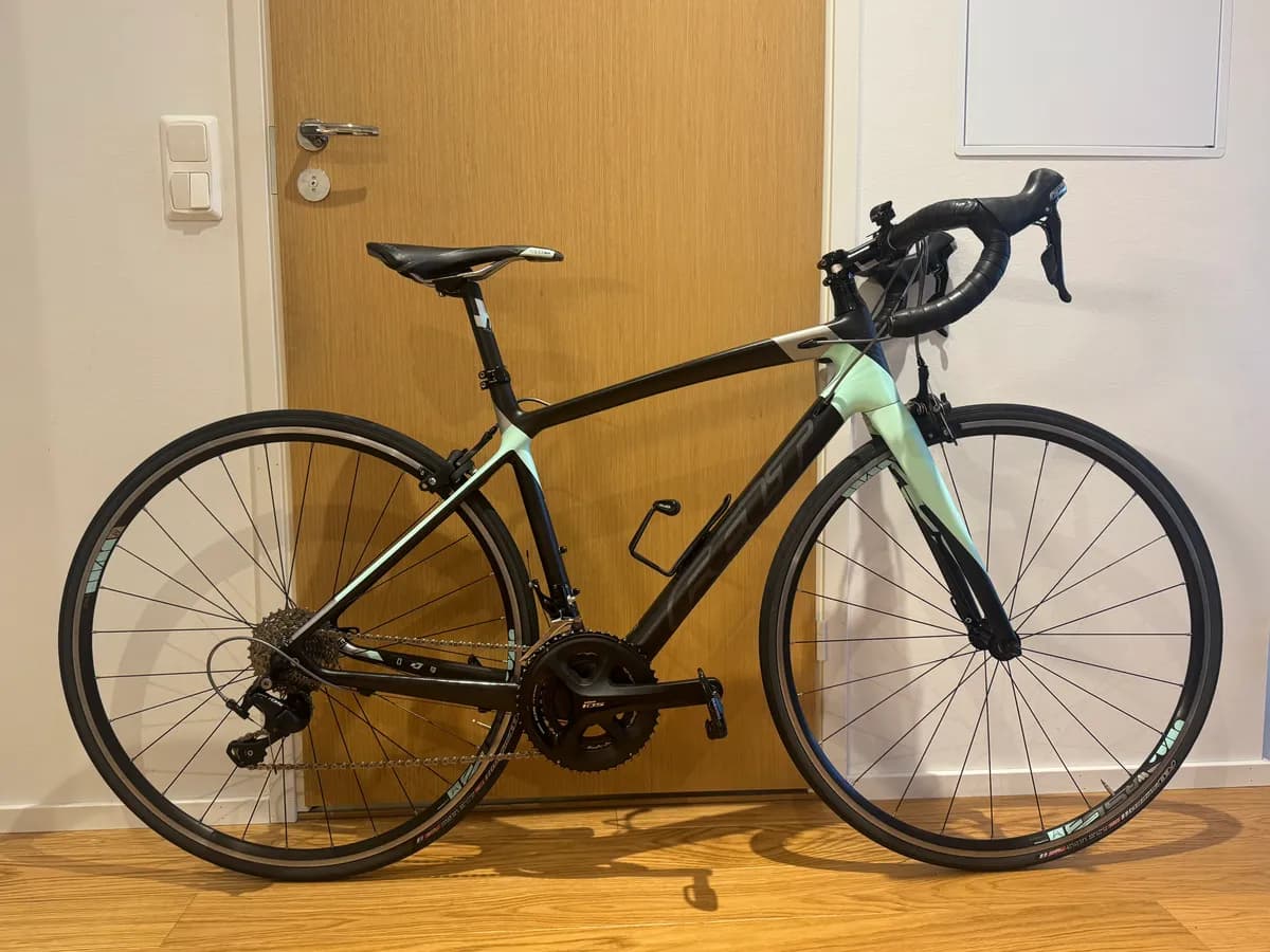 Felt ZW5