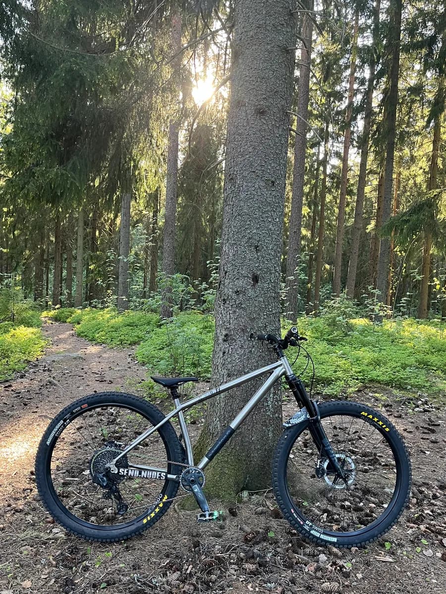 Stanton Switch9er Ti gen4 hardtail