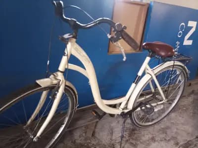 Solifer  Shopper