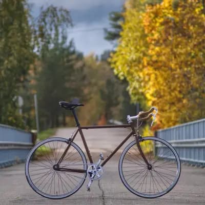 Montana Fixie
