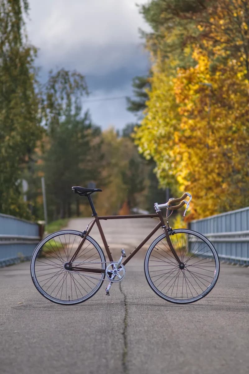 Montana Fixie