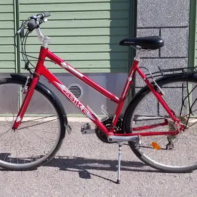Zbike Roadstar 
