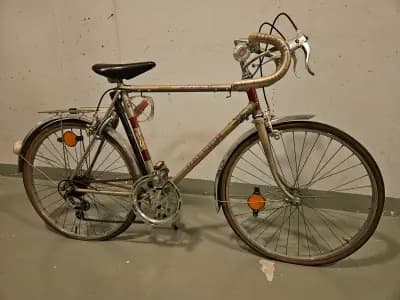 Raleigh Medale