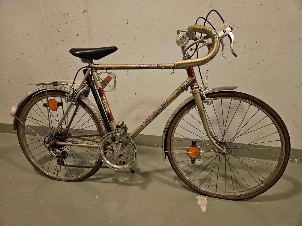 Raleigh Medale