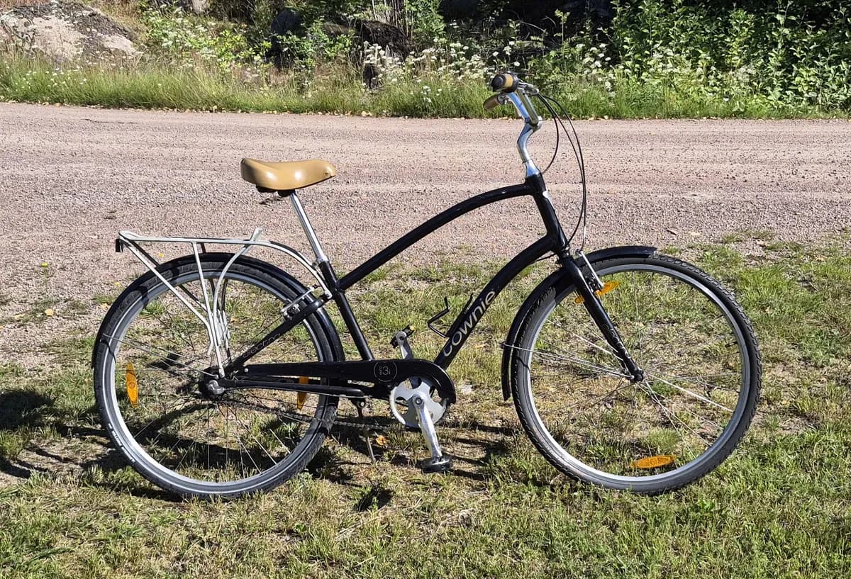 Electra Townie