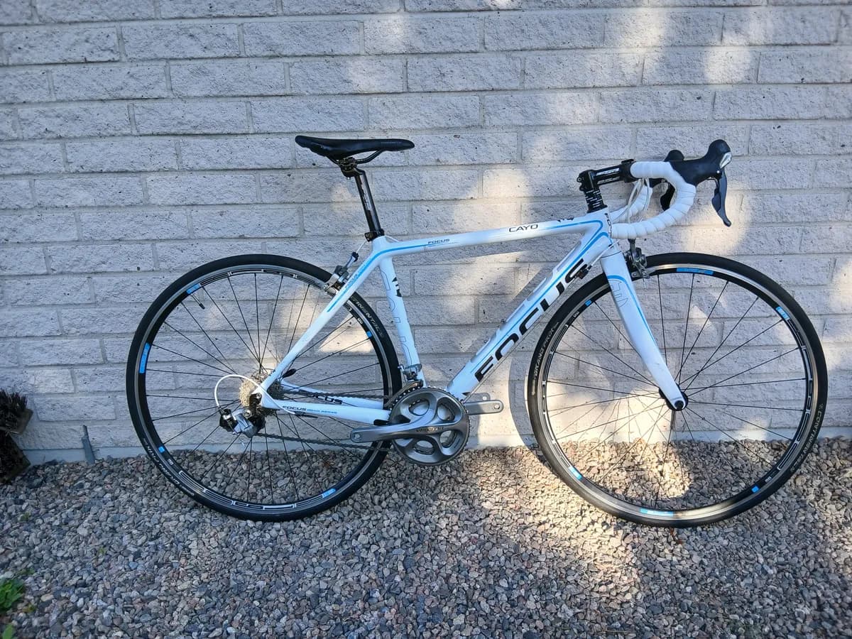 Focus Cayo carbon 