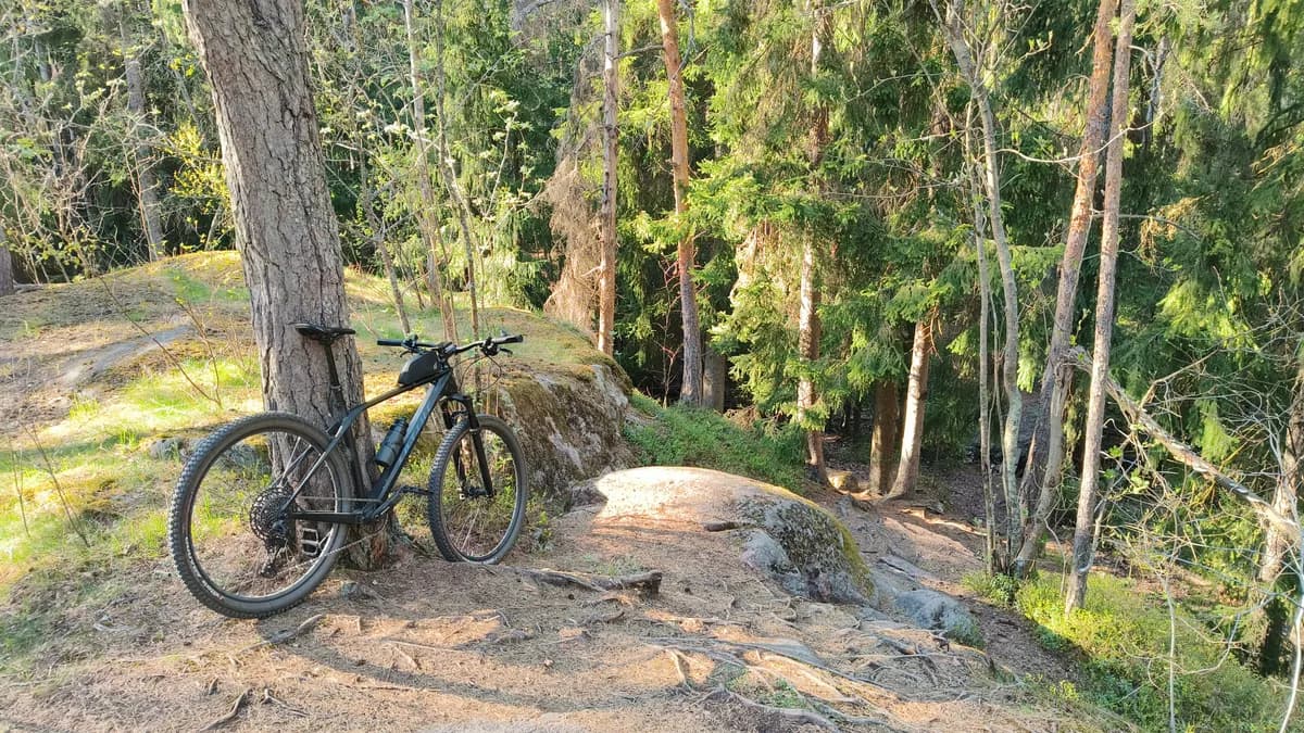 Active Fly Carbon 510