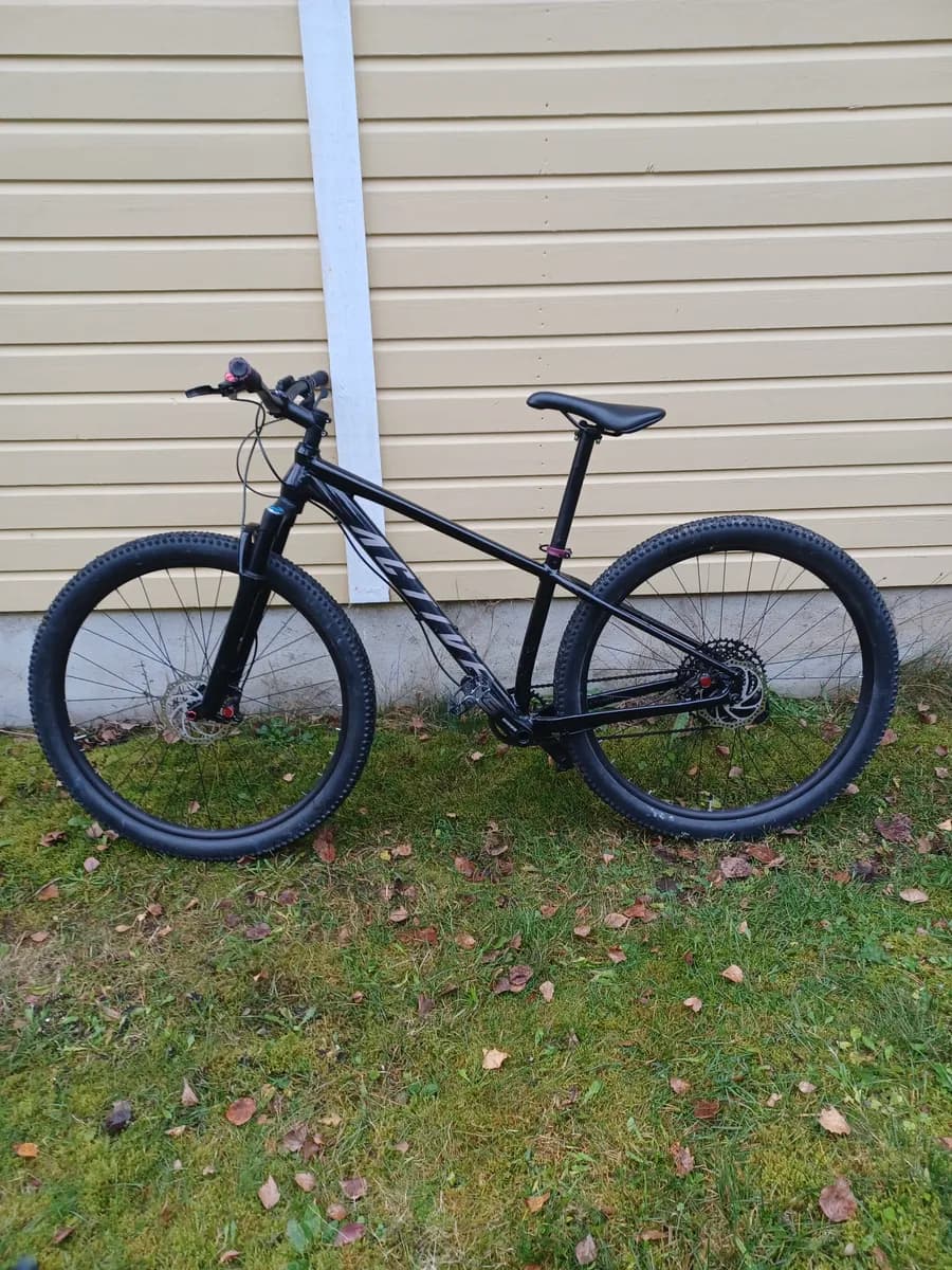 Active  Bolt 29