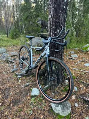 Canyon Grail AL 7.0 SL
