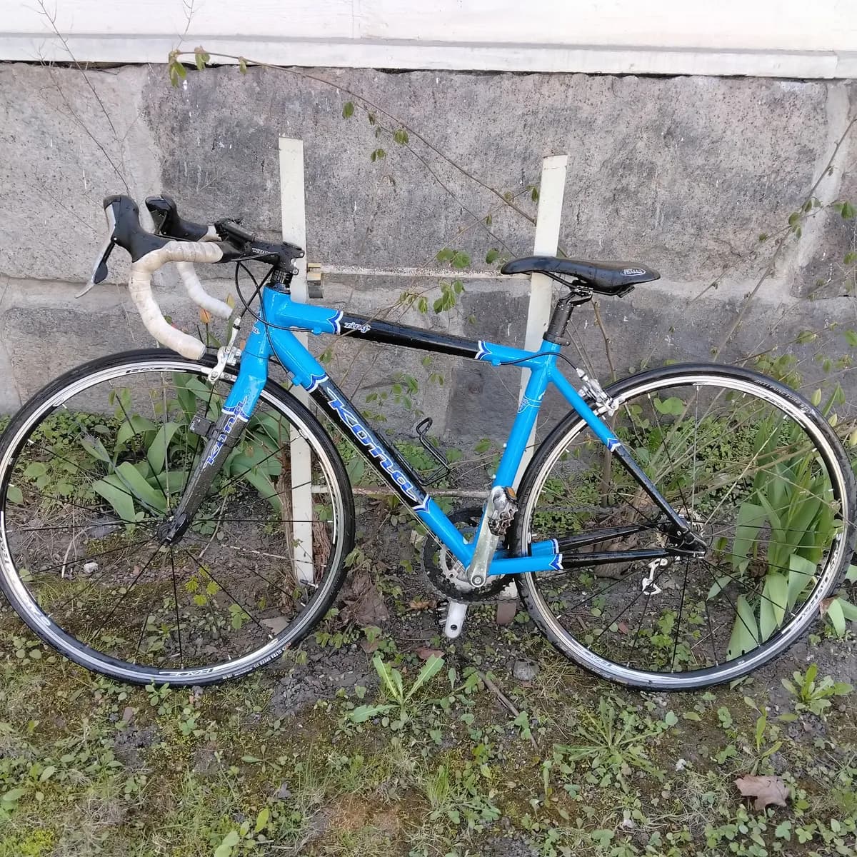 Kona Zing
